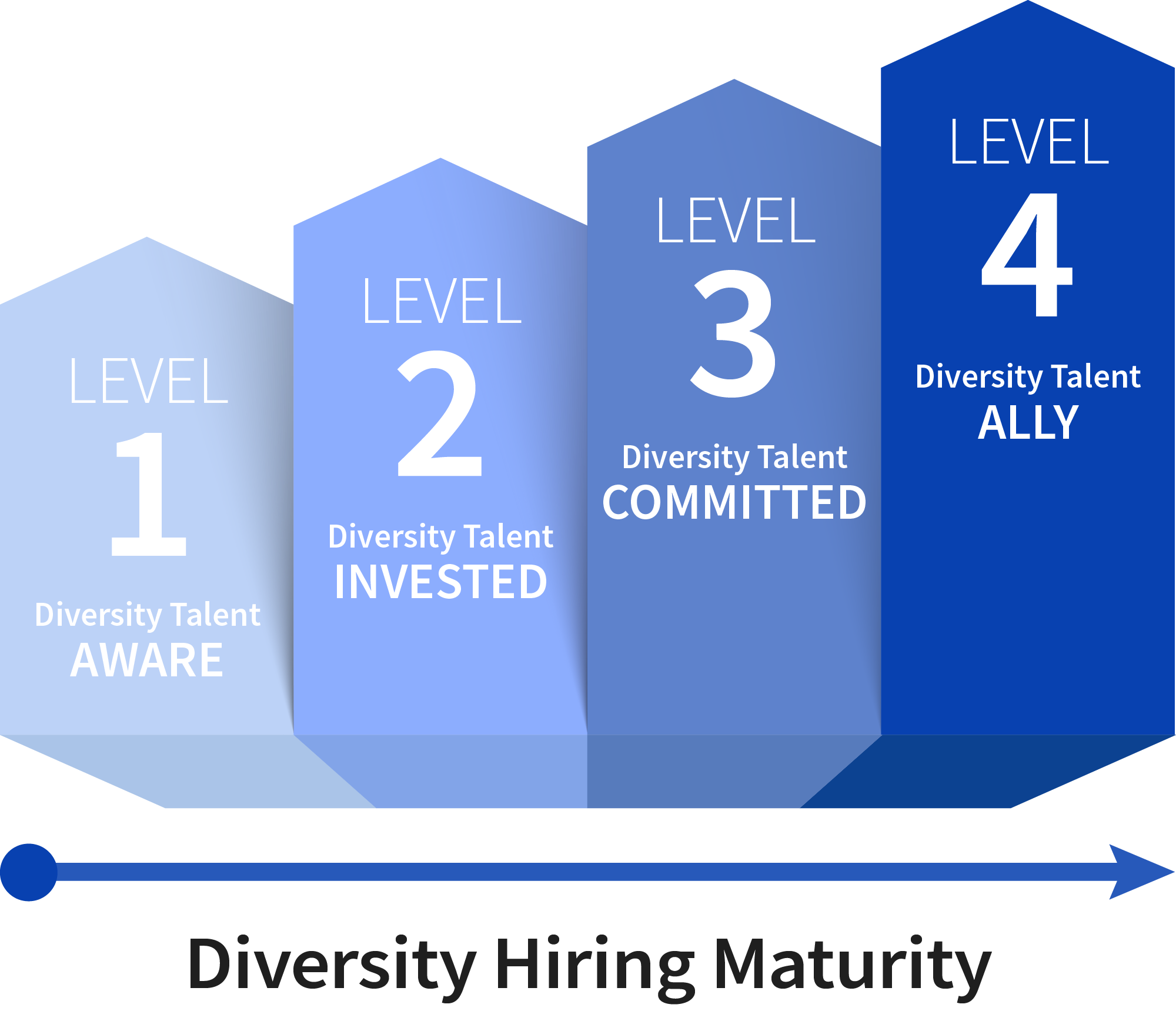 Diversity Hiring Maturity Model